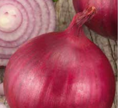  ONION BRUNSWICK